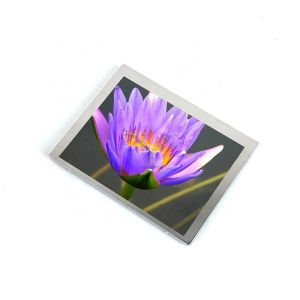High Quality 4.7\ Transparent OLED LM32P10 Display Panel Modules Quality TFT Projector LCD Panel Modules from Trusted Supplier
