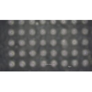 High Precious Micro Nano 3D Printer For Science Prismlab