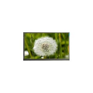 High Quality 2560*1600 13.3 inch N133GCA-GQ1 16.7M LCD Screen