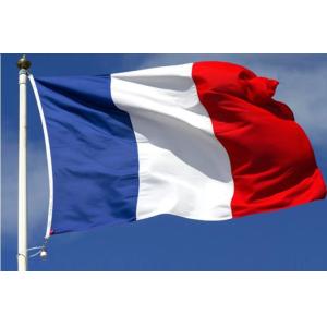 Promotional Custom Polyester Flags , 100D Russia National Flag 90*150cm