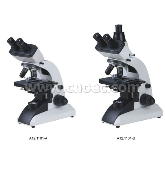 Quality 40X 1000X Learning Compound Optical Microscope Halogen Illumination Microscopes for sale