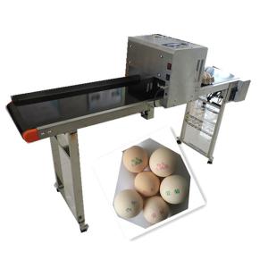 Wholesale Whole Plate Egg Inkjet Marking Machine With Thermal Foam Type Multiple Nozzle from china suppliers