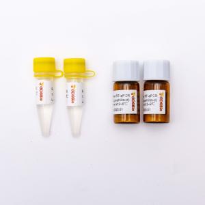 200rxn Lyophilized 2X One Step RT QPCR Master Mix V5007L