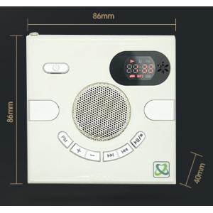 for wall FM playing speaker withTF card MP3 U dish playing time show