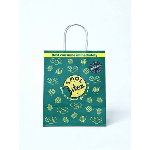 Custom Recyclable Disposable Kraft Paper Twisted Handle Bag Printing for Shopping Bakery