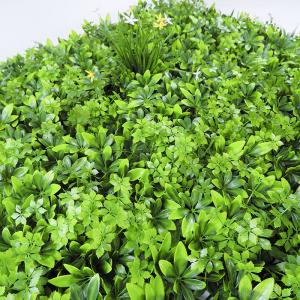 Multiusage Artificial Boxwood Panels Ecofriendly Plastic Hedge For Indoor