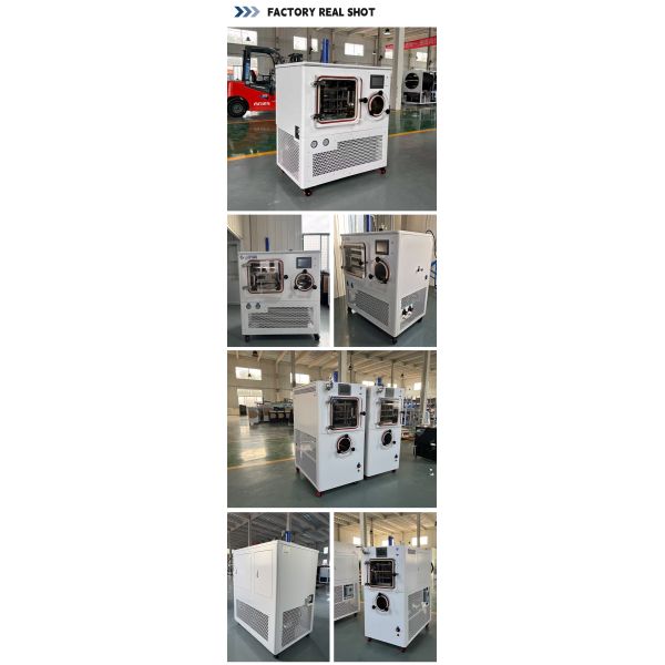 Customized Lab Scale Lyophilizer Laboratory Freeze Dryer Automatic Vacuum Lyophilizer
