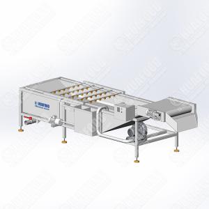 Multi-Function Food Factory Bubble Bean Washing Machine Automatic