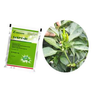 Effective Pest Management with SeNPV And Bacillus Thuringiensis Fall Armywrom