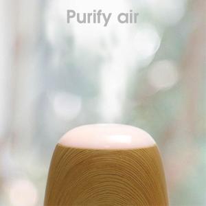 Commercial Ultrasonic Aroma Diffuser Aromatherapy Diffuser Humidifier