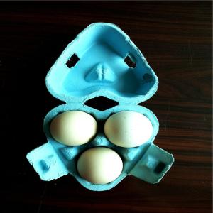 Customizable Plastic Injection Food Container Mold Egg Carton Use