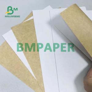 High Bulky CCKB Paperboard With White Top Kraft Back 250G 270G 300G