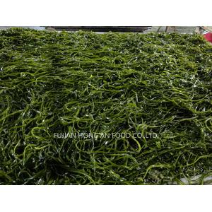 1 Year Shelf Life Kelp Kombu Sprouts Sea Vegetable Green Color Umami Taste