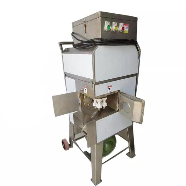 Lyophilization Machine Price dry freezes Vacuum Freezer Drying Machine Fruit And