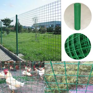 PVC Coated 1x1in Hole Chicken Mesh Fencing