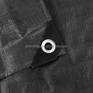 Wholesale Truck Cover Cargo Cover LDPE Coating and Lightweight PE Tarpaulin for 100% Waterproof from china suppliers