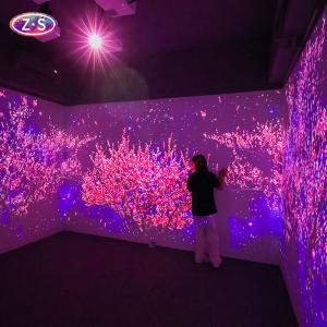 Multi Zone Immersive Projection Synchronized Effects Whole Room Coverage