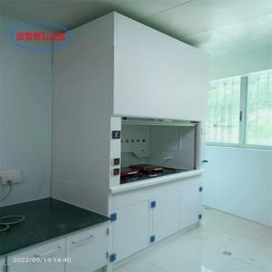Anti Corrosion Laboratory Fume Cupboard Vertical Sliding Sash Type