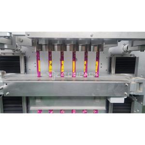 Stick Sleeping Mask Skincare Serum Packaging Machine Multi Lane Packaging Liquid