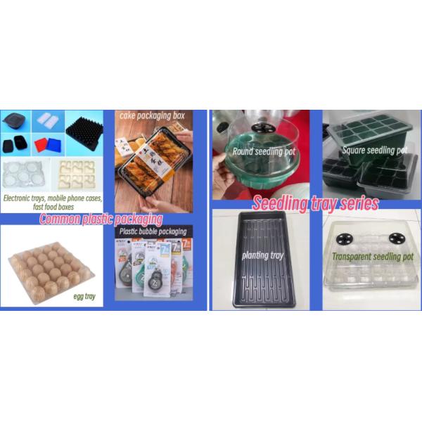 Automatic Plastic Vacuum Forming Machines Coffee Cup Lid Making Machine