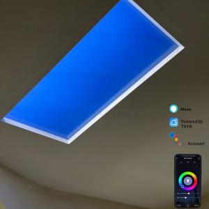 Wholesale LED Panel Light Item Type LED Ceiling Panel Light Features Simulate Natural Light And Sky Blue from china suppliers