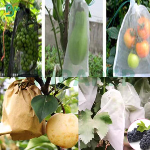 370mm 55gsm Brown Kraft Fruit Bag Paper Rolls for Packing Fruits