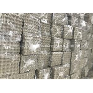 Recycled Waste Paper Egg Tray Machine , Paper Pulp Moulding Machine