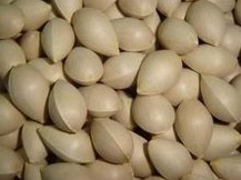 Buy cheap Taixing Gingko(Buddha finger) from wholesalers