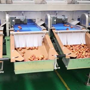 External Defect Detection 1.4 Tons per Hour 6-Lane Palm Dates Sorting Machine