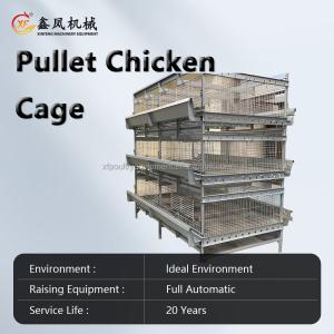 Automatic Battery Day Old Chicks Poultry Equipment Automated Pullet Brooding