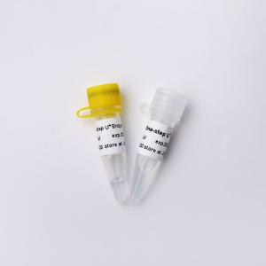 Wholesale 5× One Step Probe RT QPCR Master Mix Colourless Appearance from china suppliers