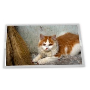 Wholesale 9 inch a-Si TFT-LCD TM090RFH01 online one-stop shopping rectangular screen lcd display panel new and original from china suppliers