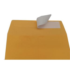 Self Seal Flap 6x9 Inch Kraft Catalog Envelopes 28 pound Golden Brown