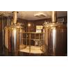 500L beer brewing systems for restaurant with warranty of 3 years for sale