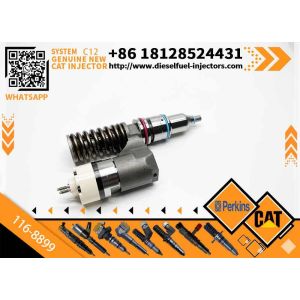 China Excavator Accessories Fuel Injector 208-9160 116-8899 for CAT C10 C11 C12 C13 for Construction Machinery on sale