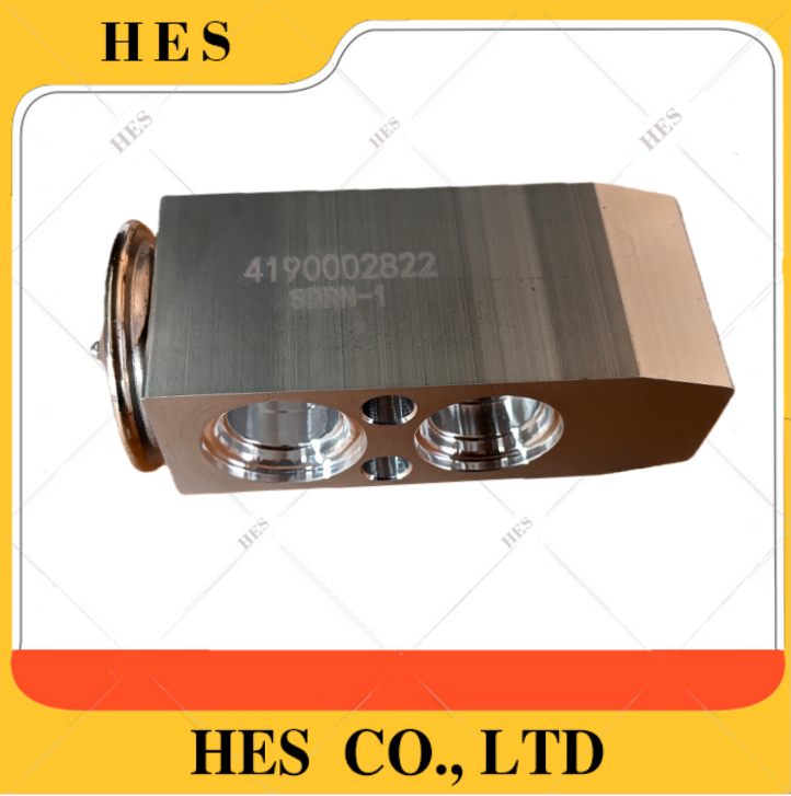 4190002822 AC VALVE