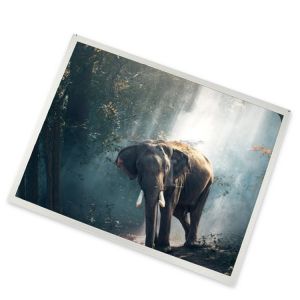 Wholesale 20.0-Inch WLED LCD Display Module New and Good 1600*900 Resolution ODM LTM200KT07 Modules from china suppliers