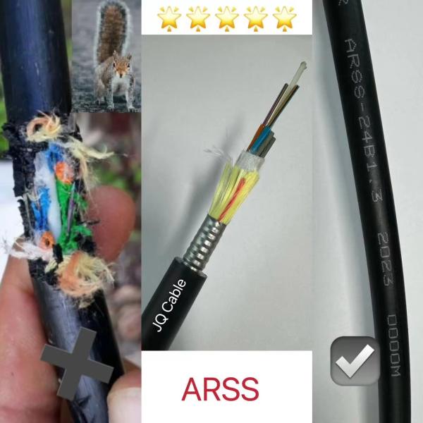 12/24/36/48 /96 Cores Singlemode ADSS ARSS Fiber Optic Cable With Steel Tape Armor