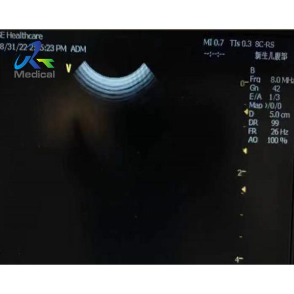 GE 8C-RS Micro Convex Ultrasound Transducer Probe Cable And Crystal Array