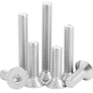 Hex Head Type Stainless Steel Bolts with NPT Thread and Polish Finish