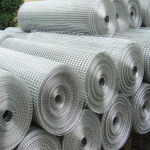Hot Dipped Galvanized Welded Wire Mesh Roll 1/2 Inch For Snake Cage