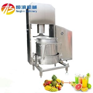 Powerful 3kw Hydraulic Juicer Press for Strawberry Lemon Apple Banana Pear