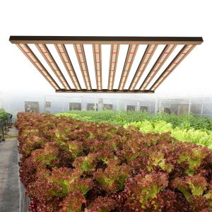 High Par Full Spectrum 1000w Daisy Chain Led Grow Lights