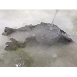 3T/24H Slurry Ice Machine Ice Making Machine For Seafood