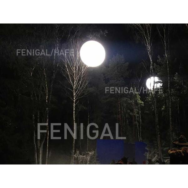 Hybrid 8K 12K OEM Design Film Lighting Balloons