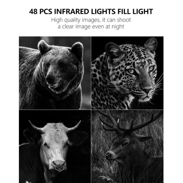 Experience Unmatched Performance with 4G Trail Camera The Perfect Solution for Wildlife Monitoring