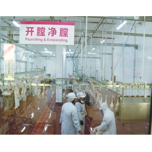 Easy Operation Halal Poultry Carcass Chilling Machine for Meat Processing