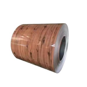 China ASTM A755 Wood Grain Prepainted Steel Coil Used For Indoor Decoration Wall on sale