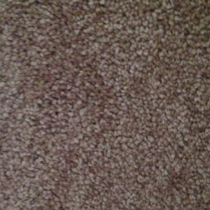 Wholesale Textured Cut Pile Carpet from china suppliers