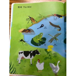 ICTI AAA Battery 60 Keys Children Audio Books EMC.